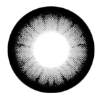 204 - Gray