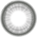 Sunny Gray - Image 2