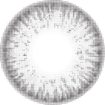 Ice Gray - Image 2